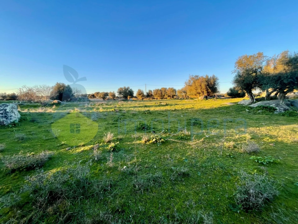 Quinta T18 para Venda em Redondo Foto 11