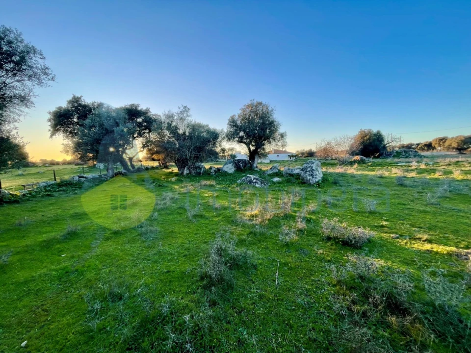 Quinta T18 para Venda em Redondo Foto 15