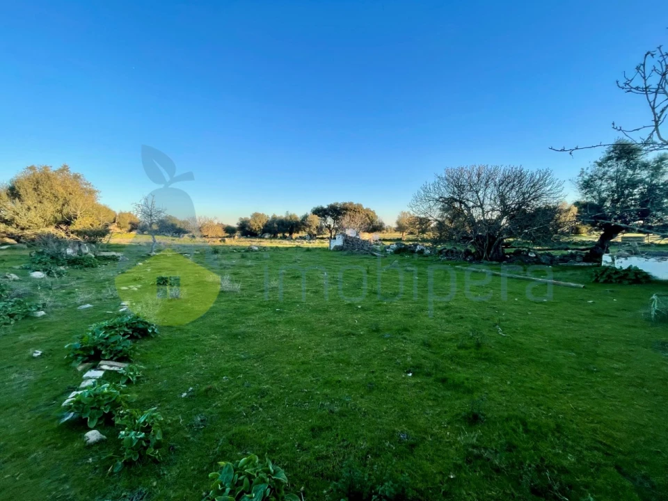 Quinta T18 para Venda em Redondo Foto 16