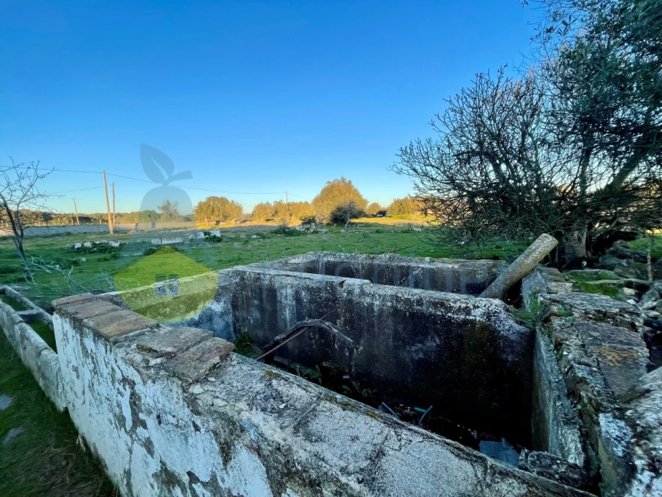 Quinta T18 para Venda em Redondo Foto 18