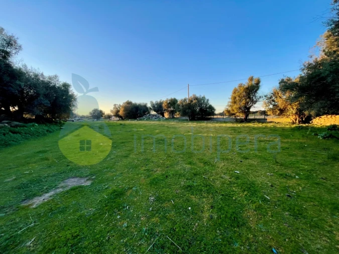 Quinta T18 para Venda em Redondo Foto 3