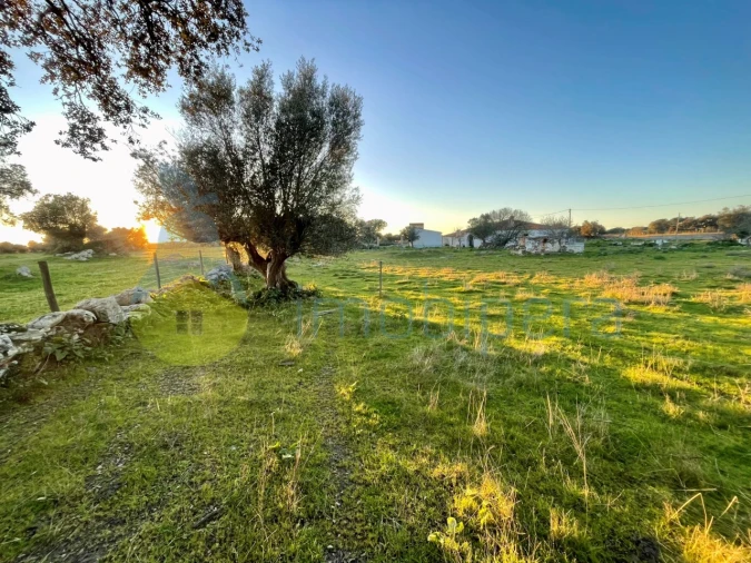 Quinta T18 para Venda em Redondo Foto 10