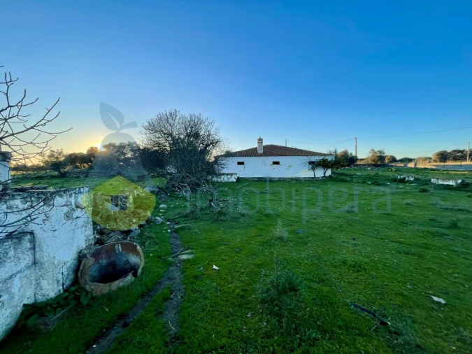 Quinta T18 para Venda em Redondo Foto 13