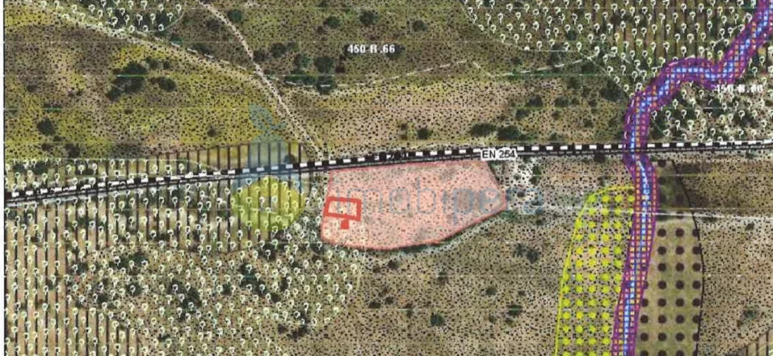 Quinta T18 para Venda em Redondo Foto 28