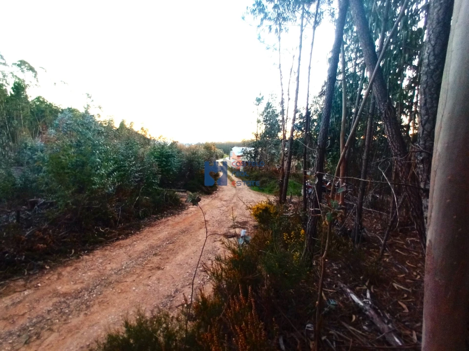 Terreno para Venda em Atouguia Foto 22