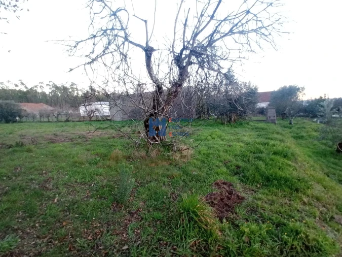 Terreno para Venda em Atouguia Foto 18