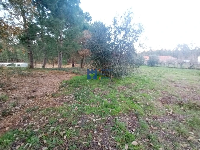 Terreno para Venda em Atouguia Foto 4