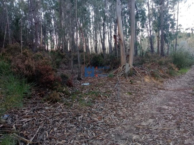 Terreno para Venda em Atouguia Foto 20