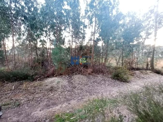 Terreno para Venda em Atouguia Foto 23