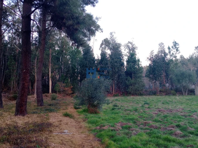 Terreno para Venda em Atouguia Foto 19