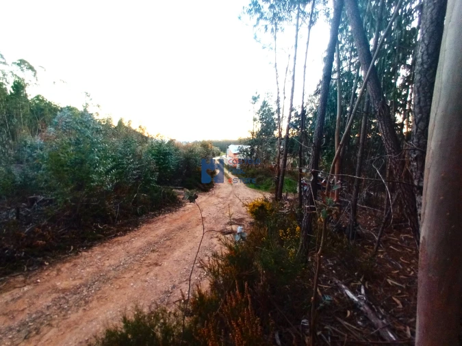 Terreno para Venda em Atouguia Foto 22