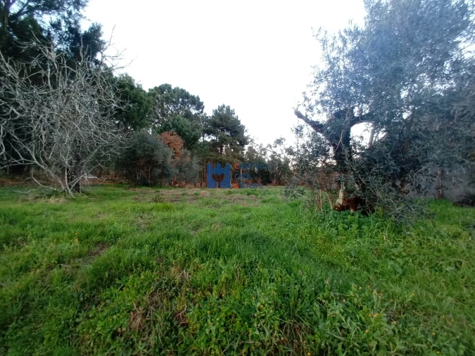 Terreno para Venda em Atouguia Foto 15