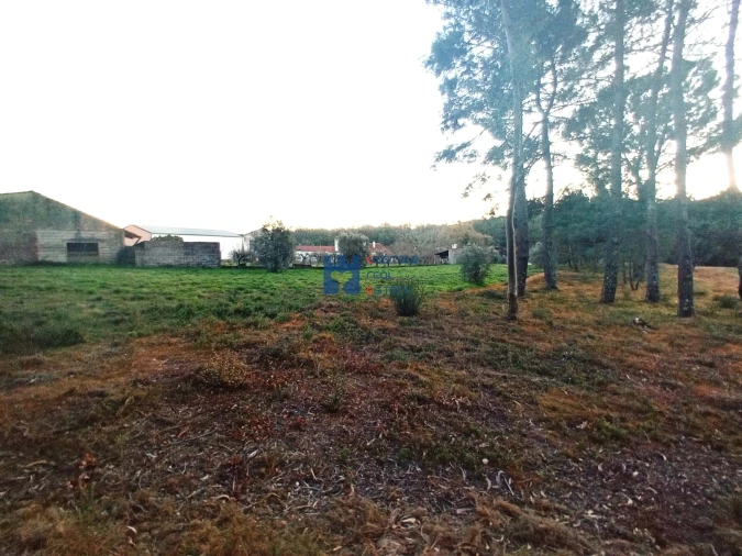 Terreno para Venda em Atouguia Foto 1