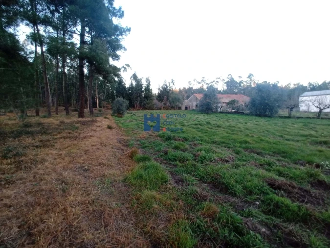 Terreno para Venda em Atouguia Foto 9