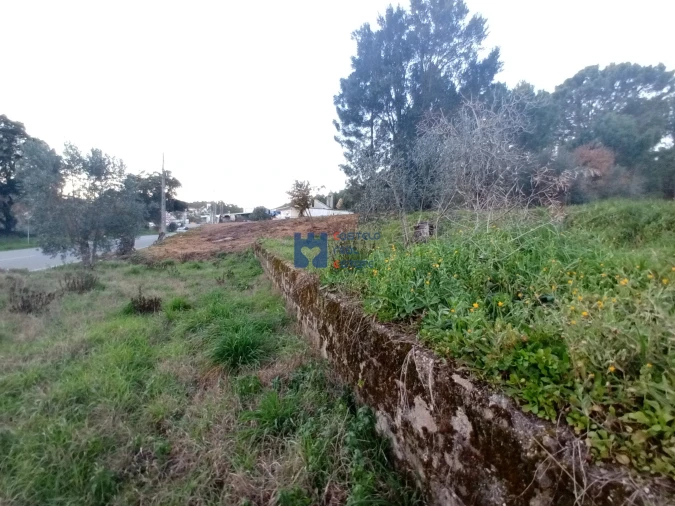 Terreno para Venda em Atouguia Foto 17