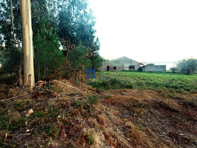 Terreno para Venda em Atouguia Foto 3