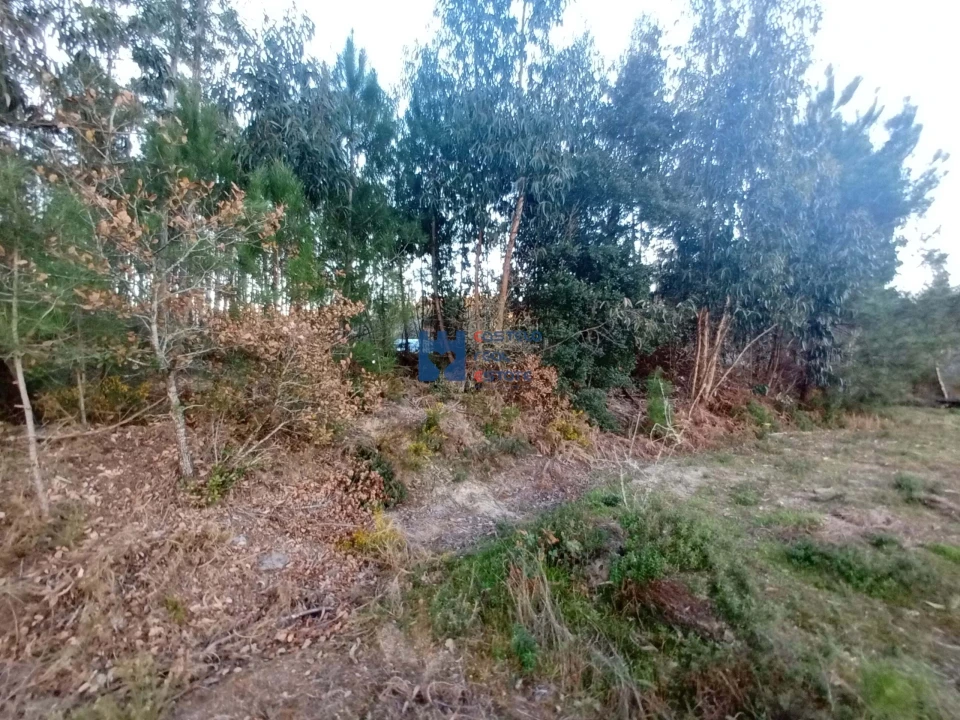 Terreno para Venda em Atouguia Foto 8