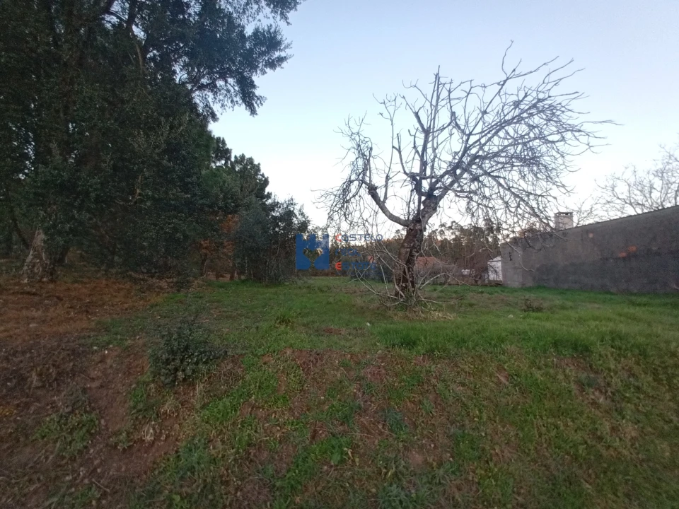 Terreno para Venda em Atouguia Foto 14