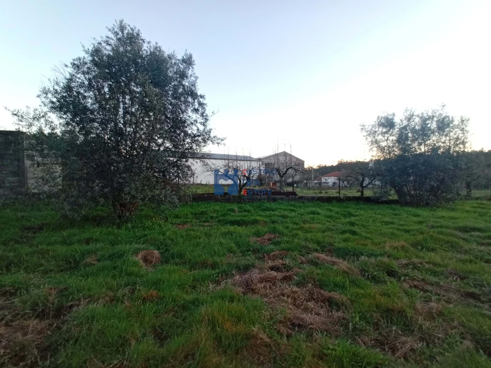 Terreno para Venda em Atouguia Foto 10