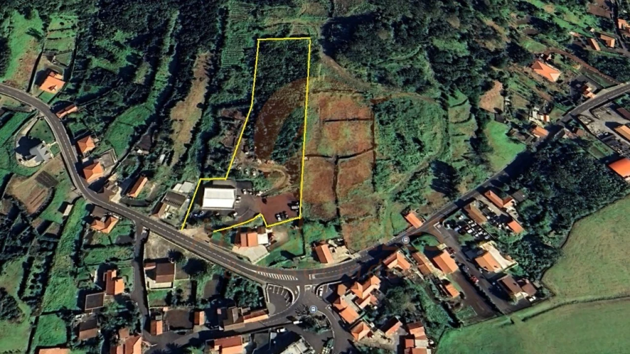 Negócio para Venda em Santo Amaro Foto 11