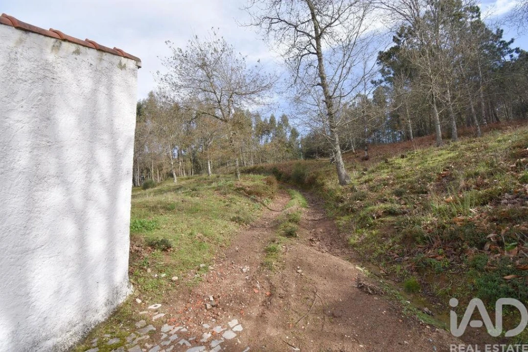 Terreno para Venda em Espinhal Foto 22