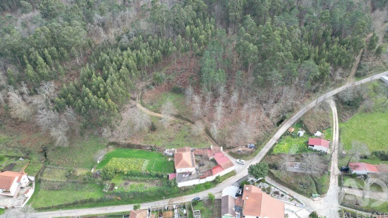 Terreno para Venda em Espinhal Foto 17
