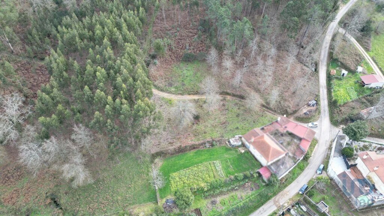 Terreno para Venda em Espinhal Foto 14