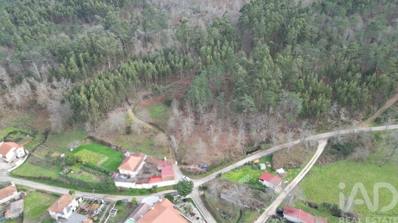 Terreno para Venda em Espinhal Foto 18
