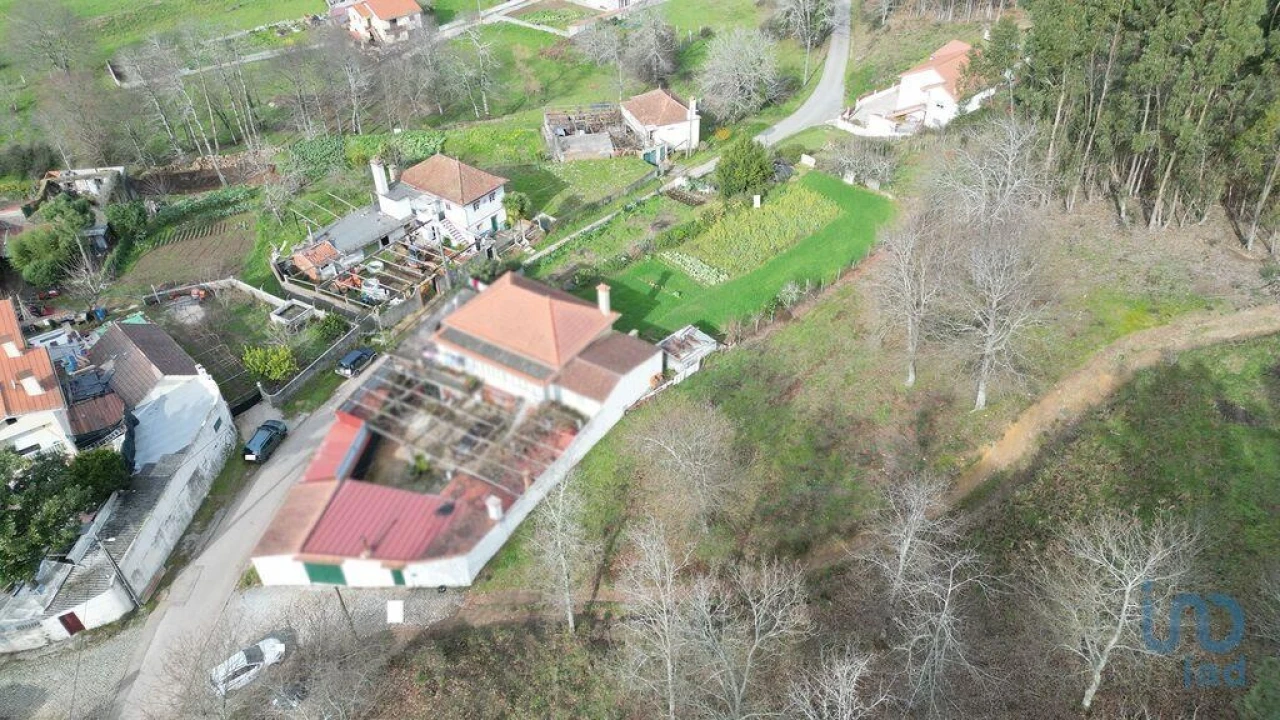 Terreno para Venda em Espinhal Foto 3