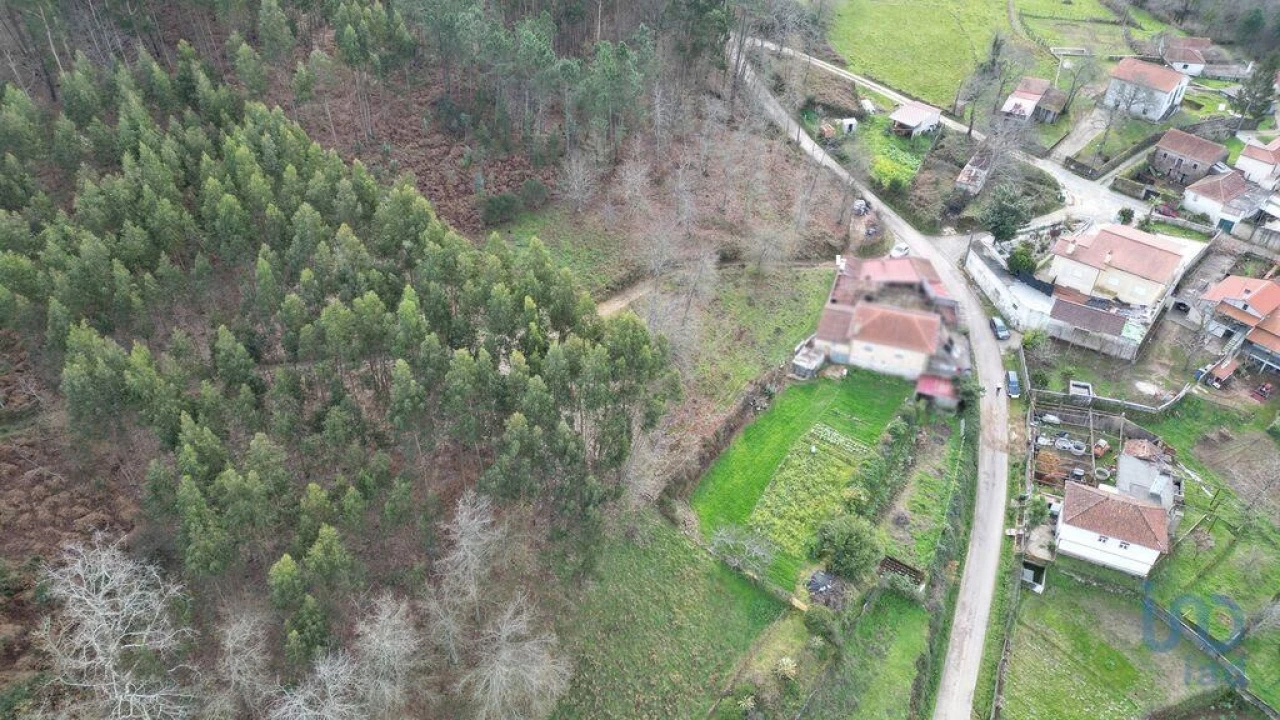 Terreno para Venda em Espinhal Foto 12