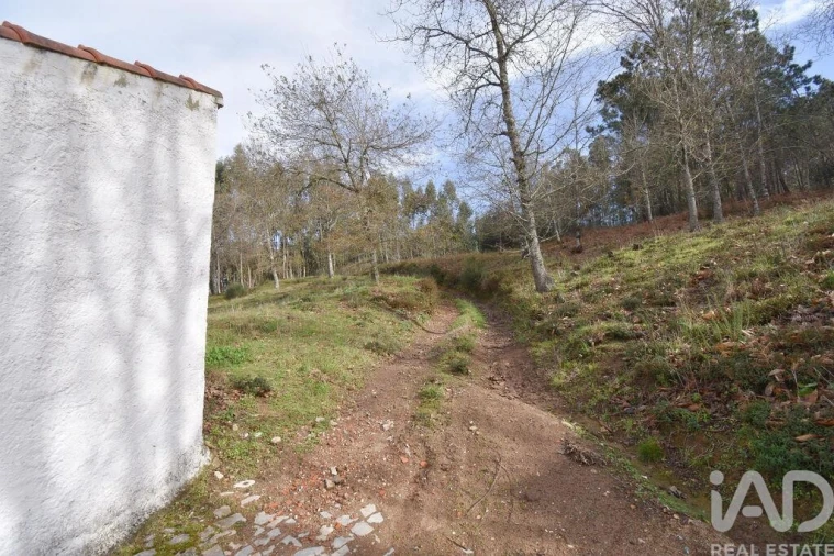 Terreno para Venda em Espinhal Foto 22