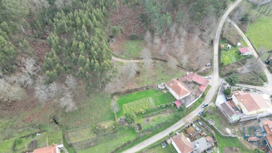 Terreno para Venda em Espinhal Foto 15