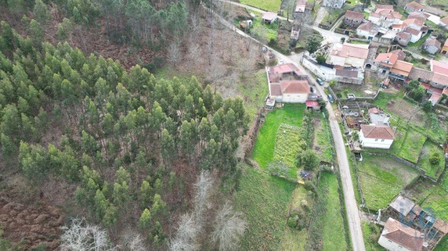 Terreno para Venda em Espinhal Foto 11
