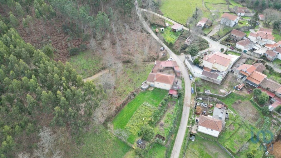 Terreno para Venda em Espinhal Foto 13