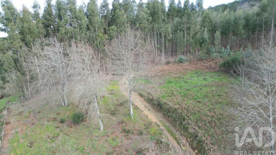Terreno para Venda em Espinhal Foto 21