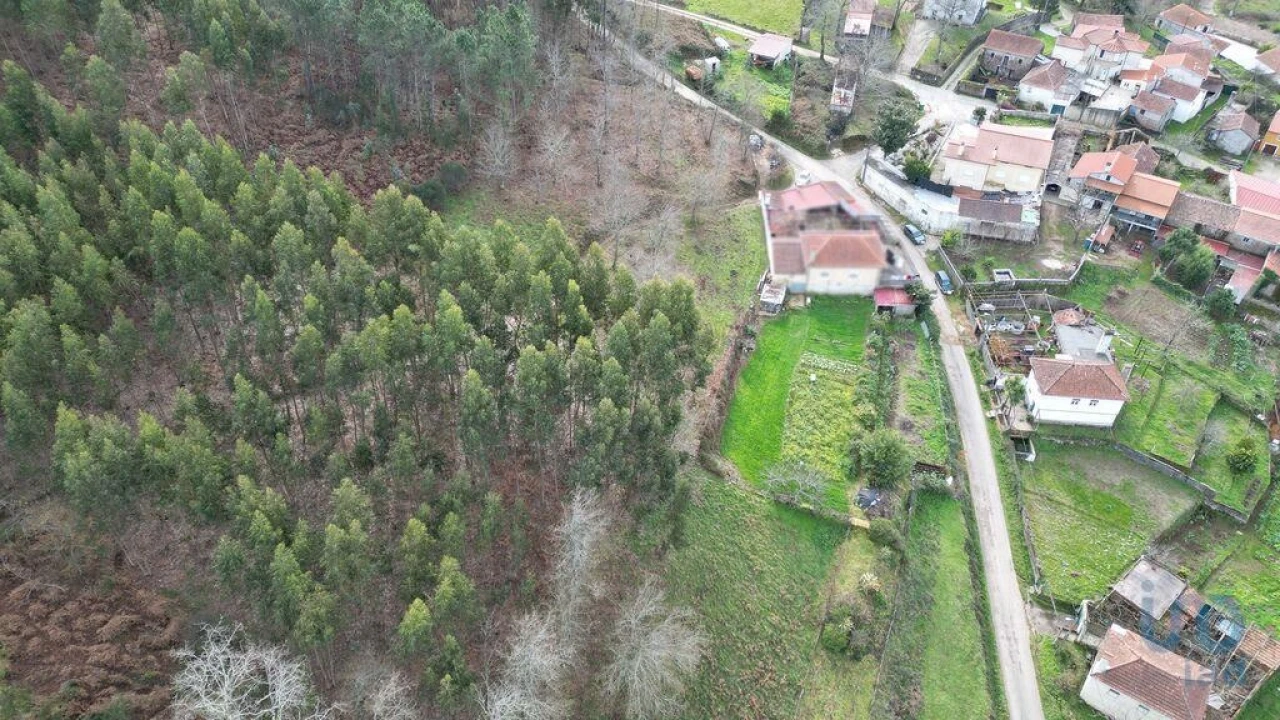 Terreno para Venda em Espinhal Foto 11