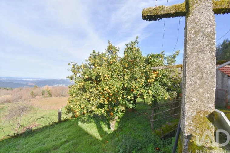 Moradia T2 para Venda em Vila Nova Foto 21