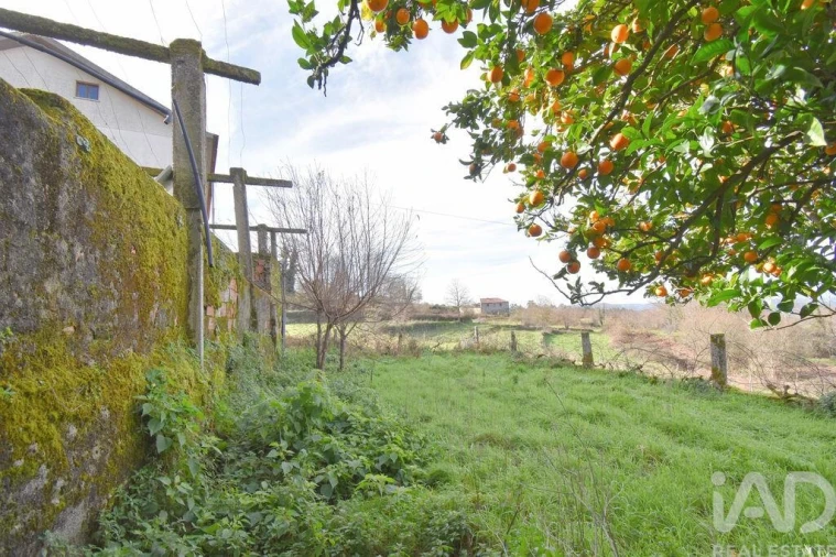 Moradia T2 para Venda em Vila Nova Foto 18