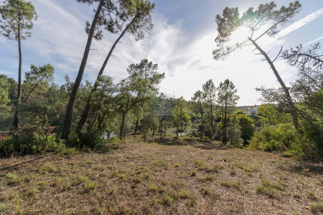 Terreno Agricola ou Rústico para Venda em Achete, Azoia de Baixo e Póvoa de Santarém Foto 8