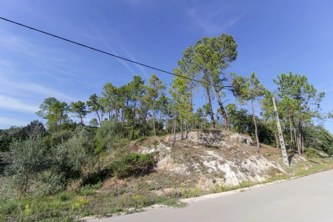 Terreno Agricola ou Rústico para Venda em Achete, Azoia de Baixo e Póvoa de Santarém Foto 3