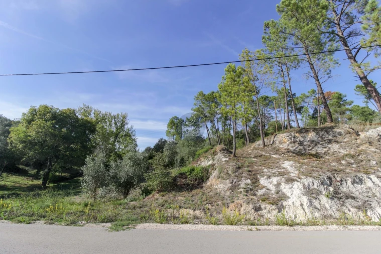 Terreno Agricola ou Rústico para Venda em Achete, Azoia de Baixo e Póvoa de Santarém Foto 4