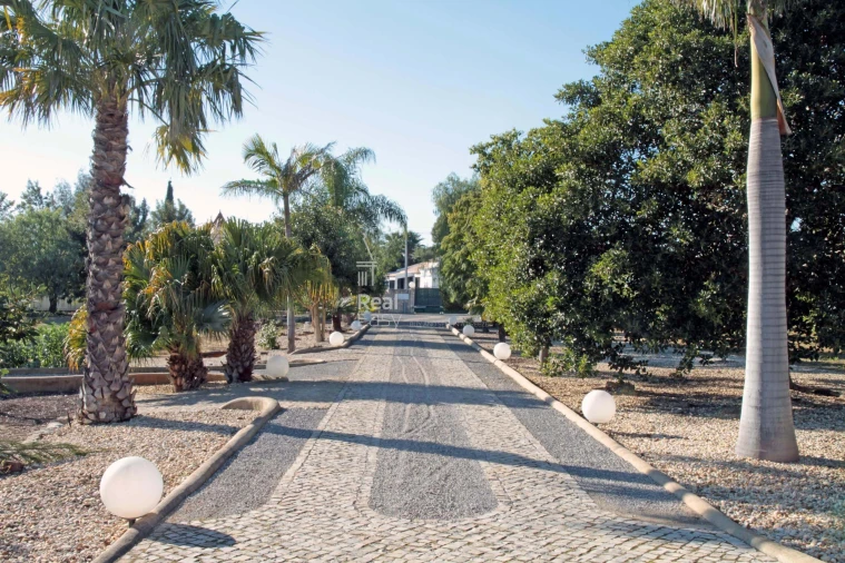 Moradia T4 para Venda em Conceição e Cabanas de Tavira Foto 7