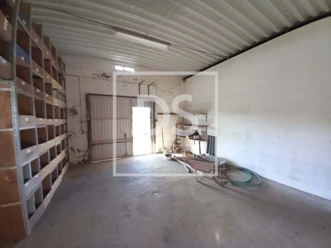 Terreno Agricola ou Rústico para Venda em Azueira e Sobral da Abelheira Foto 20