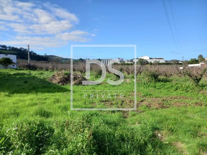 Terreno Agricola ou Rústico para Venda em Azueira e Sobral da Abelheira Foto 4