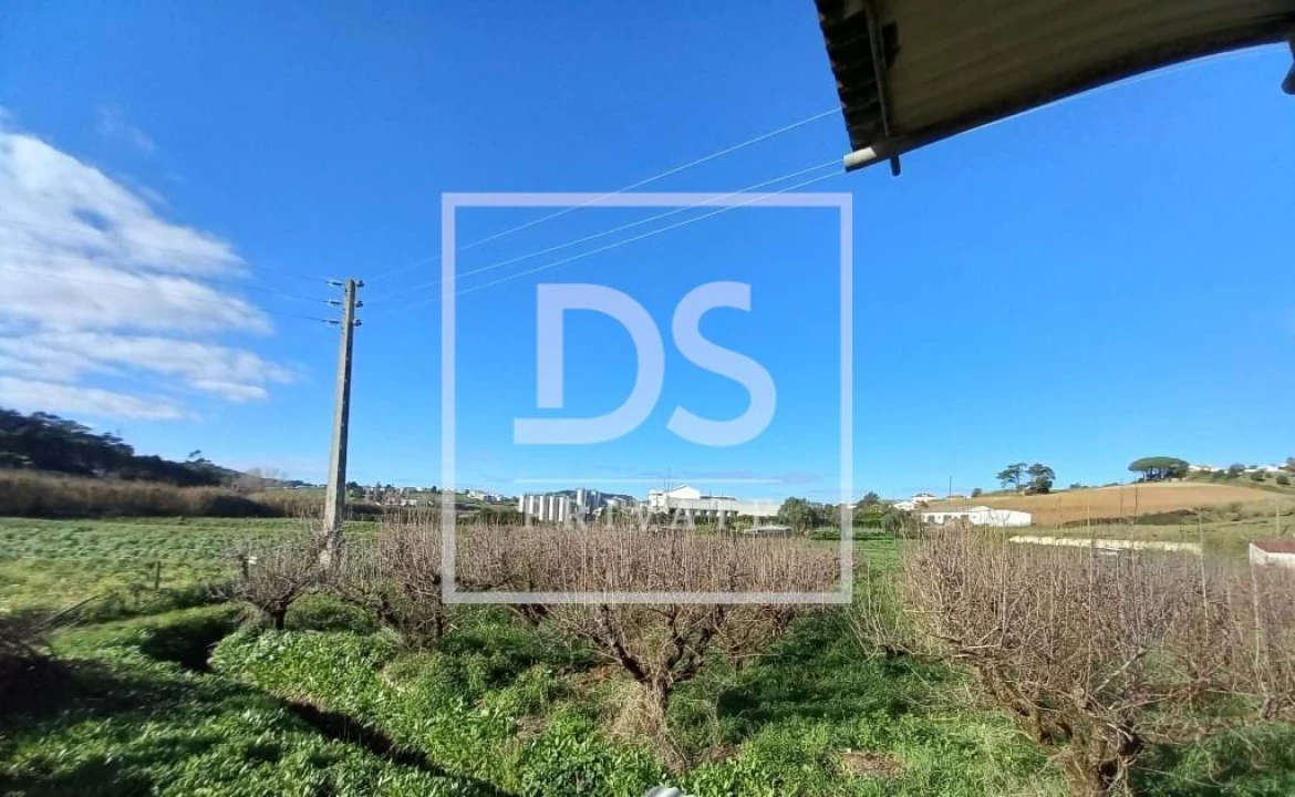 Terreno Agricola ou Rústico para Venda em Azueira e Sobral da Abelheira Foto 13