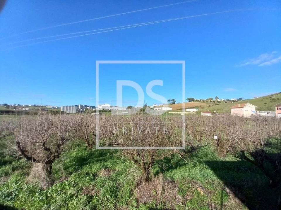 Terreno Agricola ou Rústico para Venda em Azueira e Sobral da Abelheira Foto 21