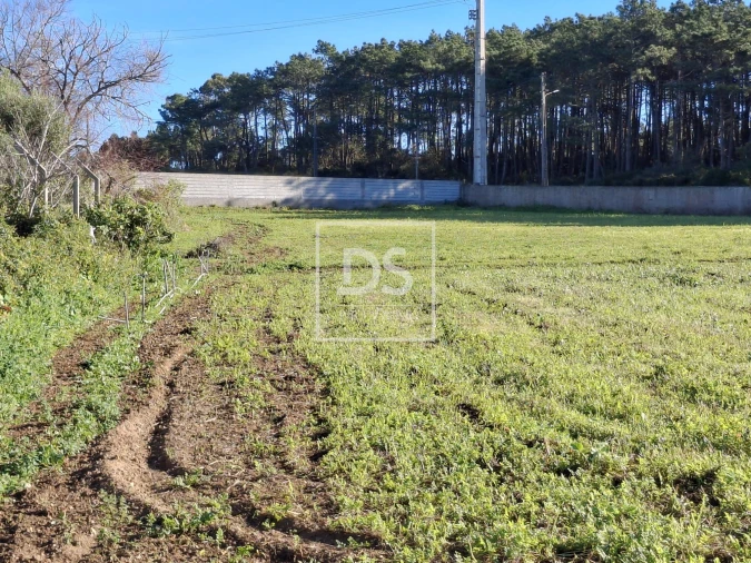 Terreno para Venda em Ericeira Foto 5