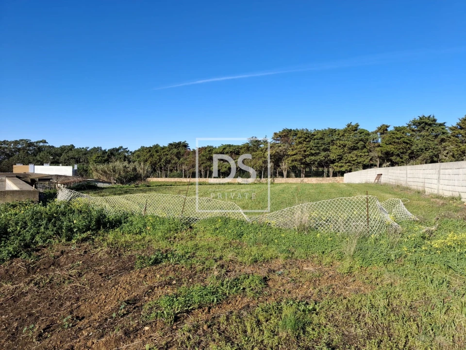 Terreno para Venda em Ericeira Foto 9