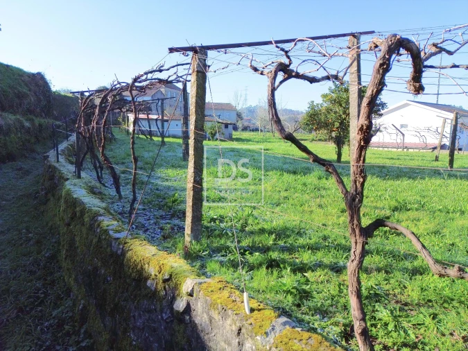 Terreno para Venda em Avessadas e Rosém Foto 6