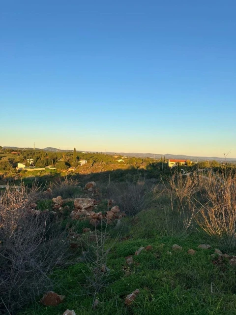Terreno para Venda em Silves